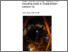 [thumbnail of OR10046.pdf]