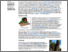 [thumbnail of Groundwater-issues-groundwater-and-energy.pdf]
